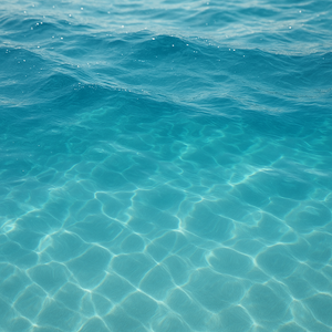 Aquatic